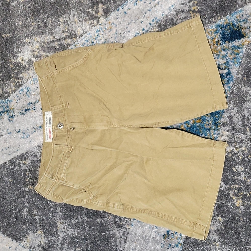 American Eagle Longboard Shorts Khaki Size 34